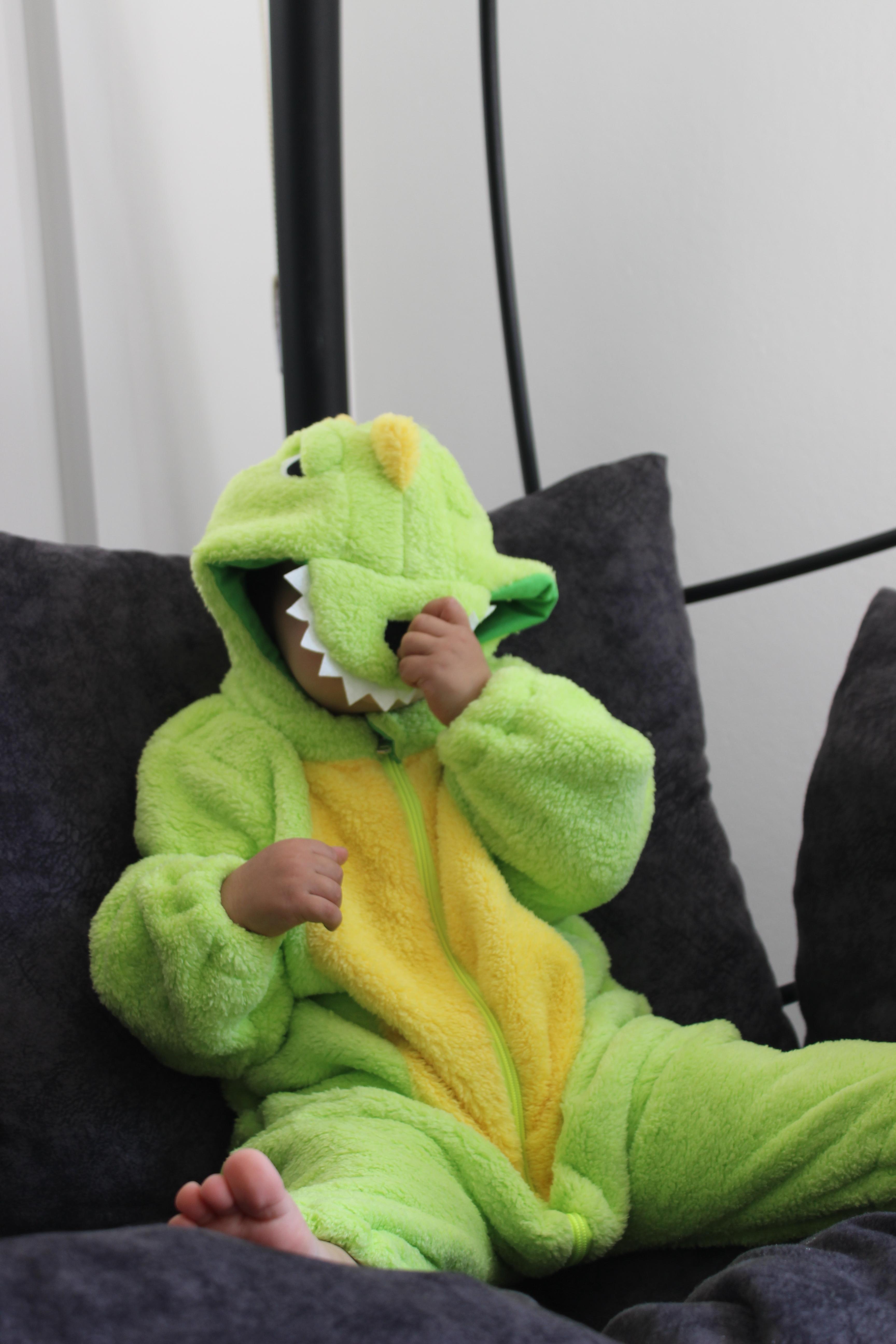 Dinozor