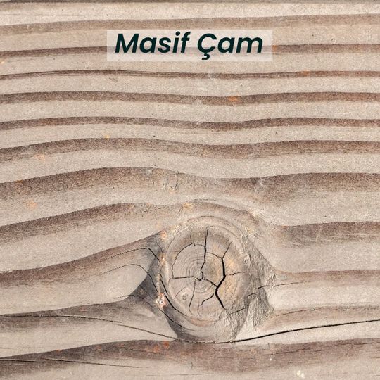 Masif Çam