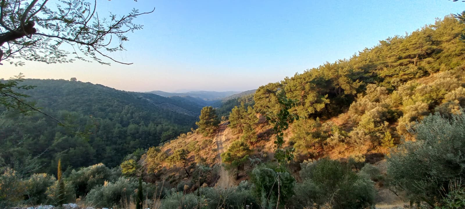Yıldızlı Vadi'nin çevresindeki dağ ve orman manzarası