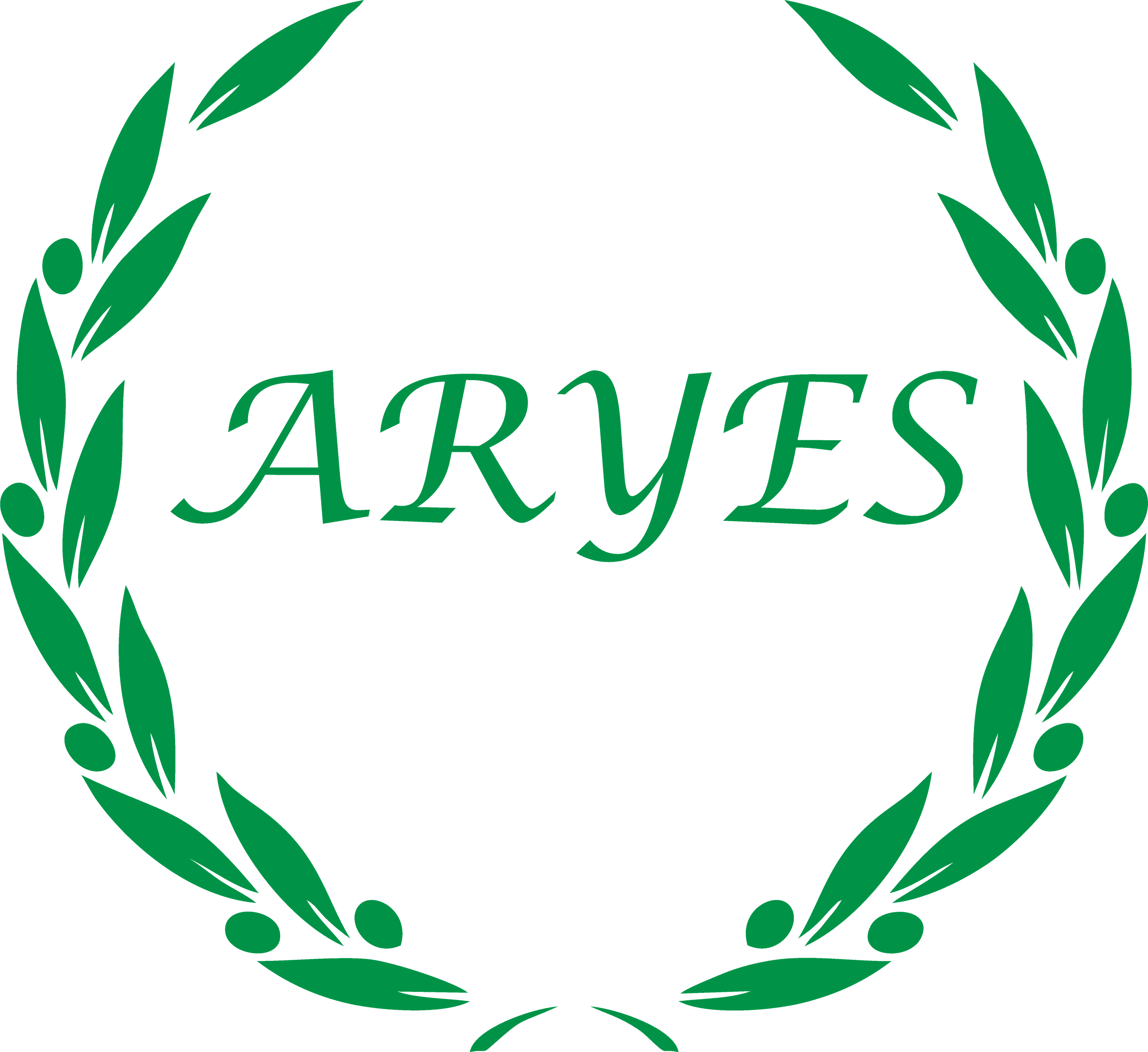 aryeselektrik