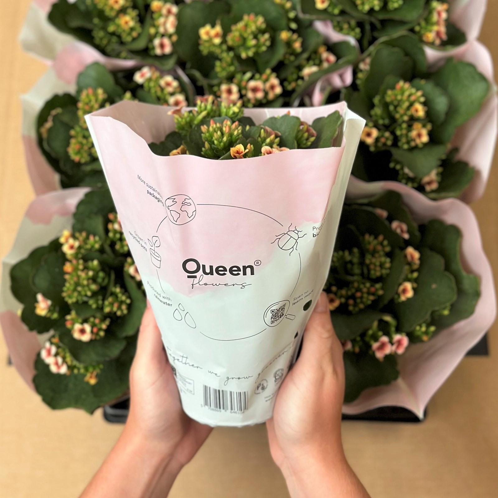 Queen® Flowers ürününüzün atıklarını ayırın