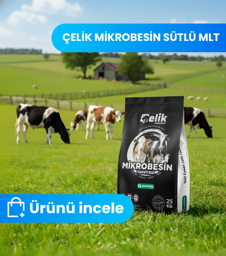 Çelik Sütlü MLT thumbnail image