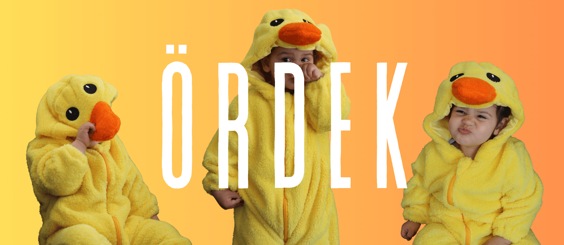 ördek web banner