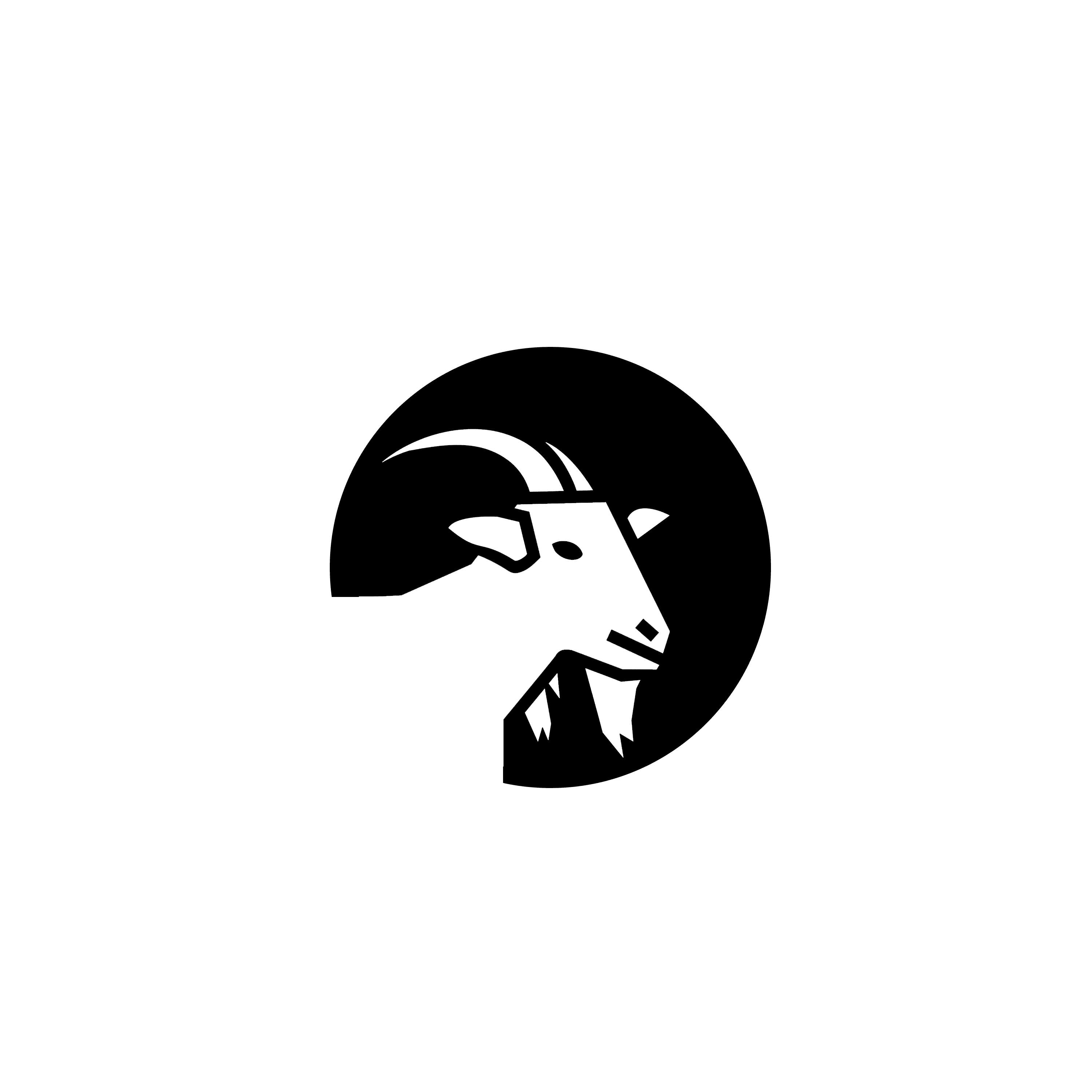 insta-logo