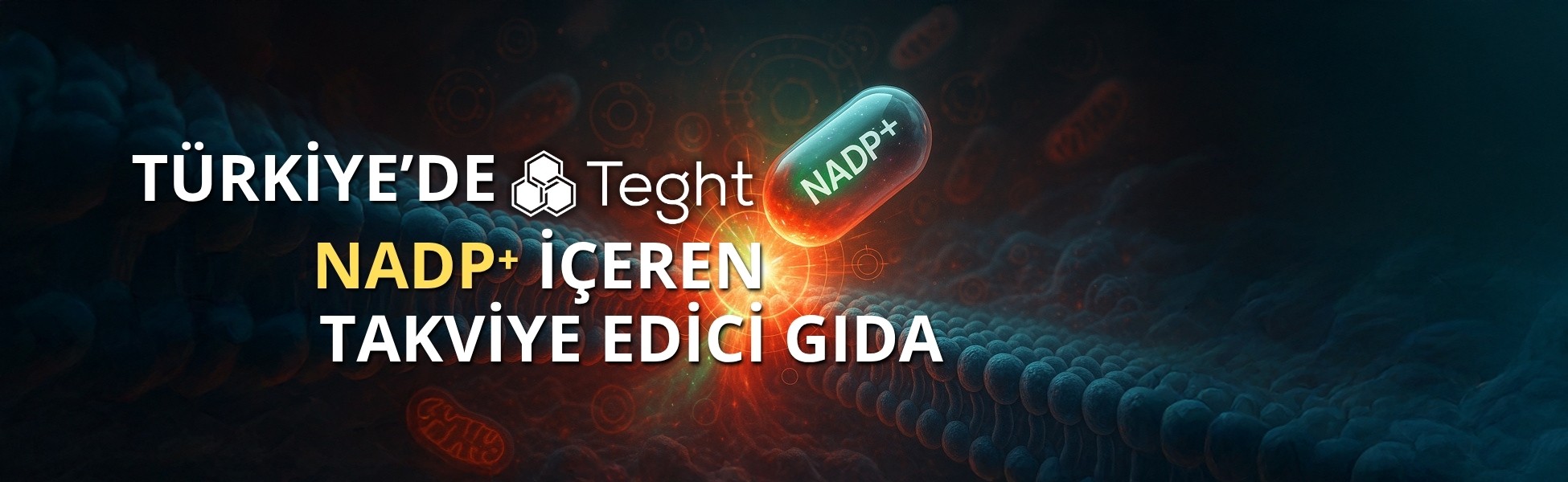 TEGHT Banner