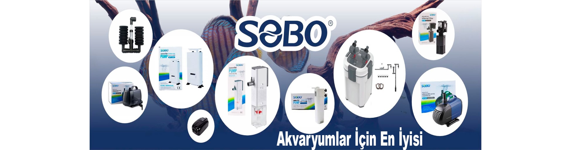 sobo