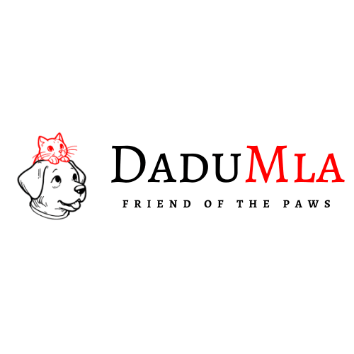 DaduMla