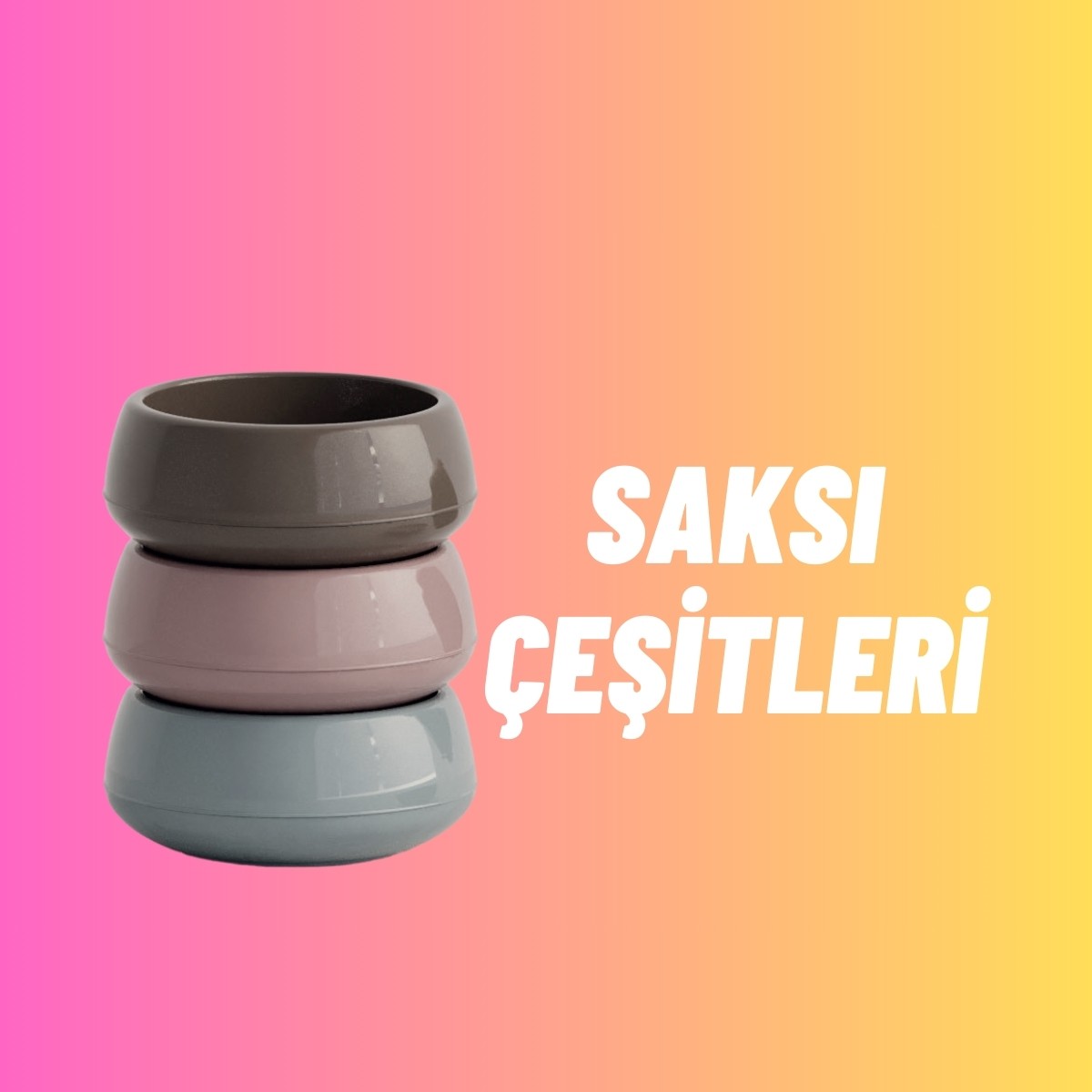 collection