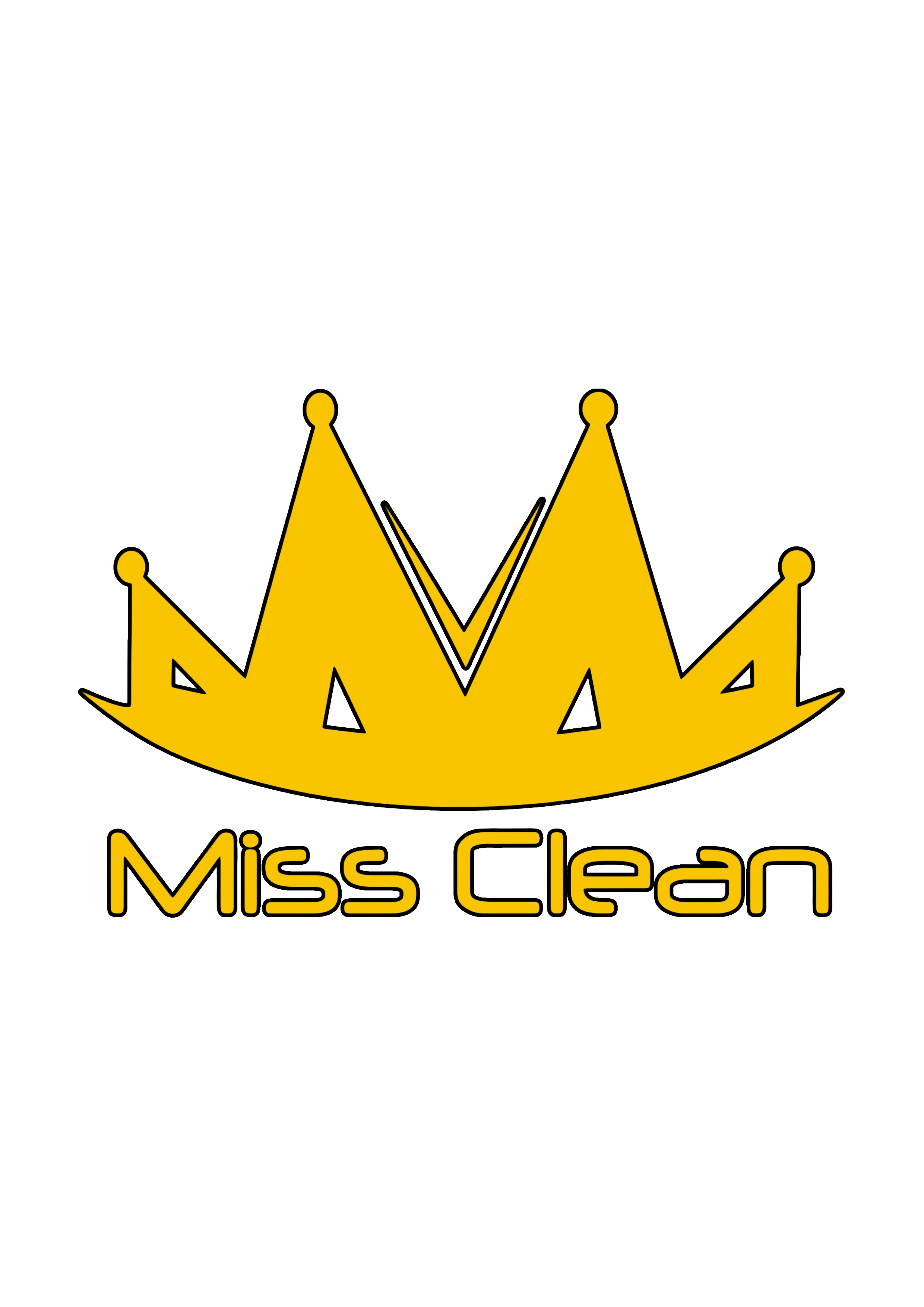 Miss R Clean Miss Clean - Mikrofiber Temizlik Bezleri