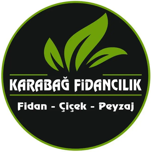 footer-logo