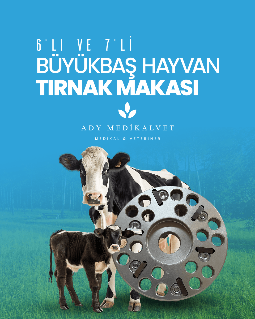 ady-tirnak-kesme-diski