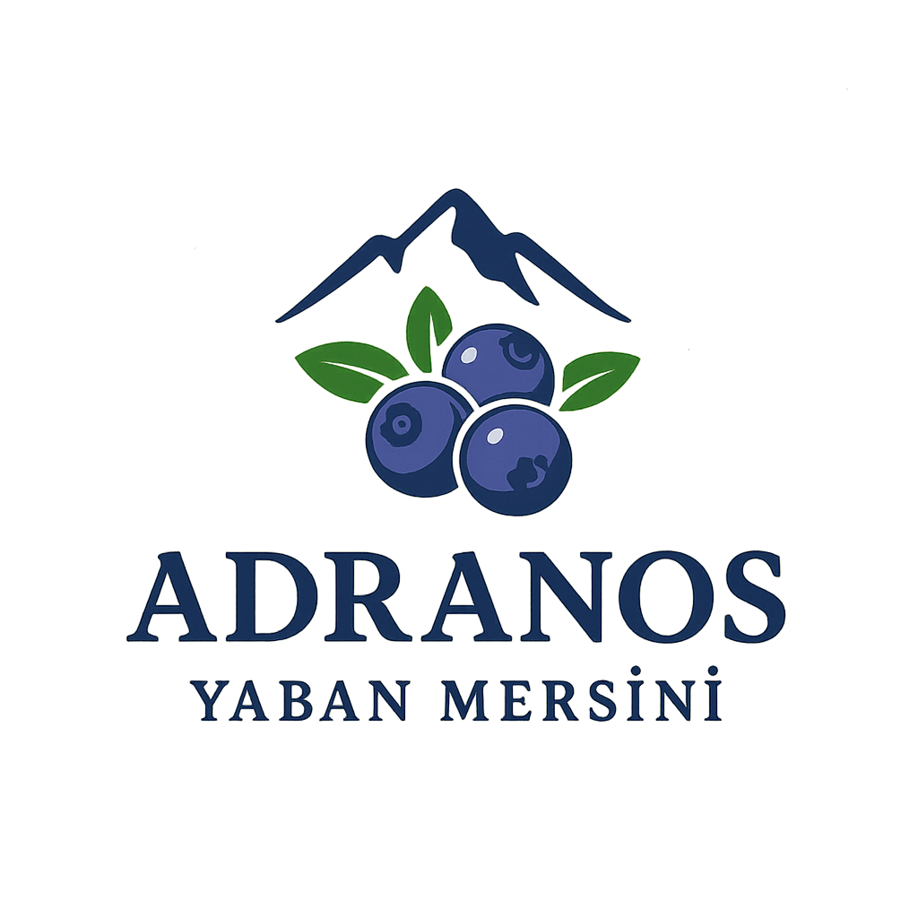 adranosyabanmersini