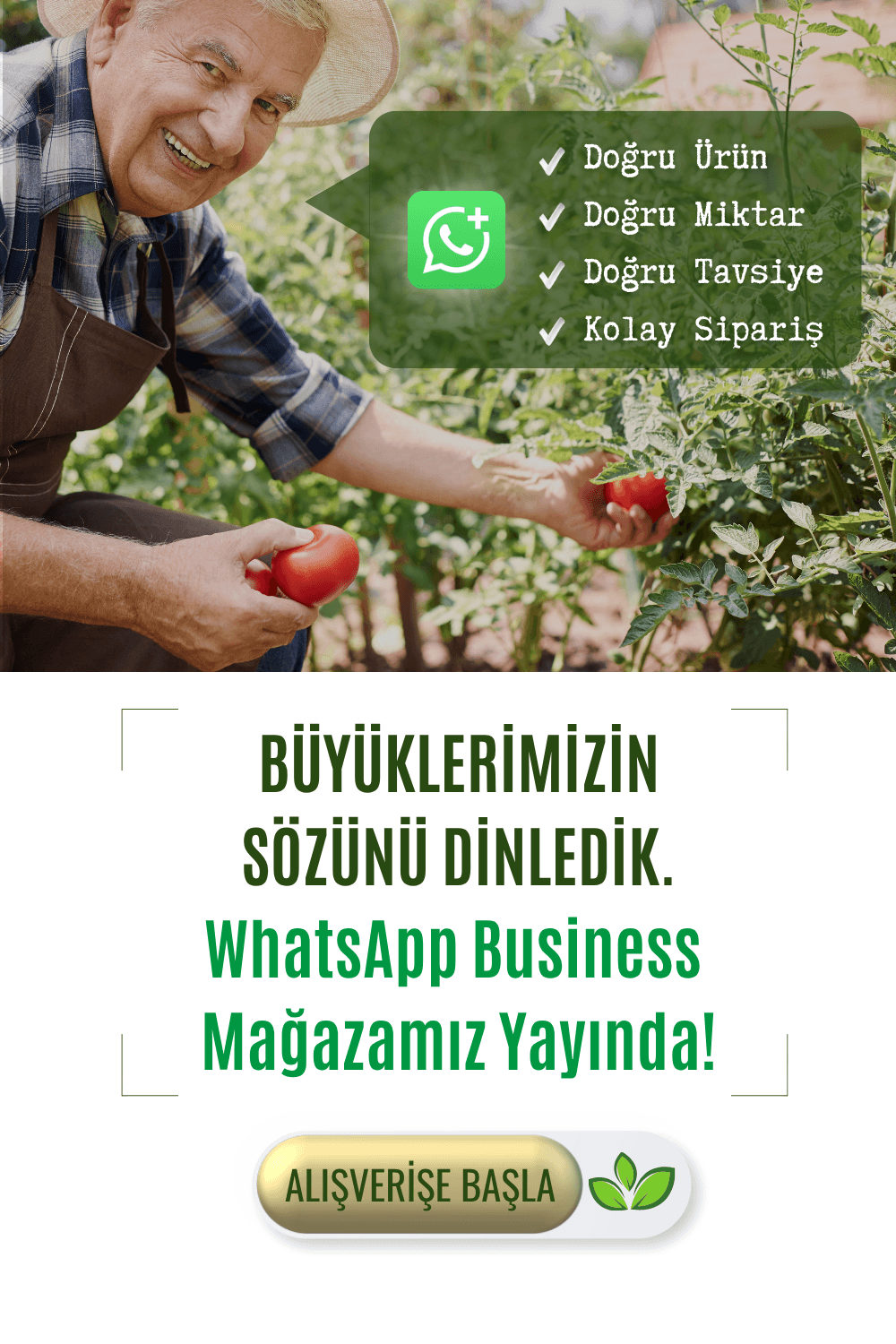 Perlit Market Whatsapp Business Sayfası