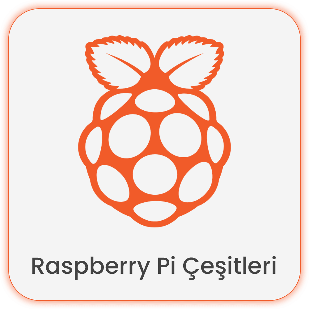 raspberry pi çeşitleri