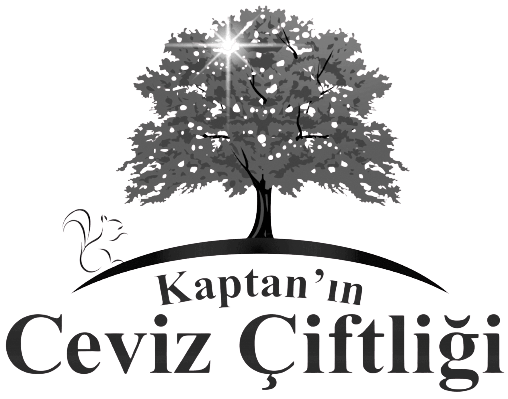 Kaptan'ın Ceviz Çiftliği