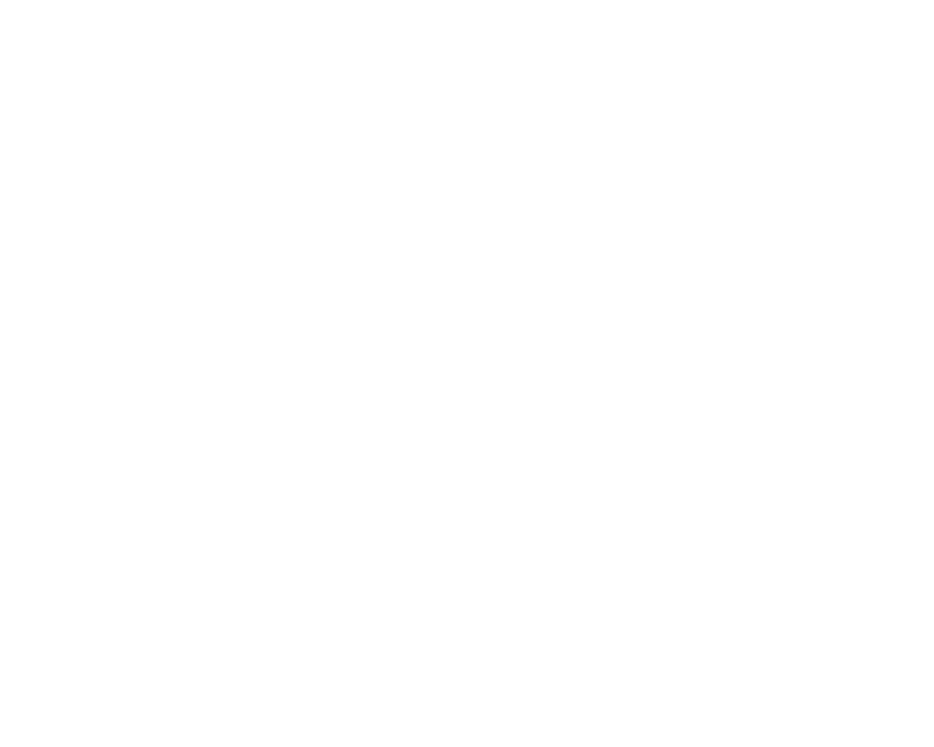 Zebra Performance Logo