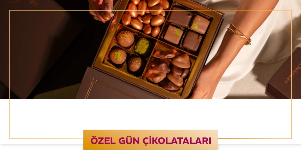 Görsel 1
