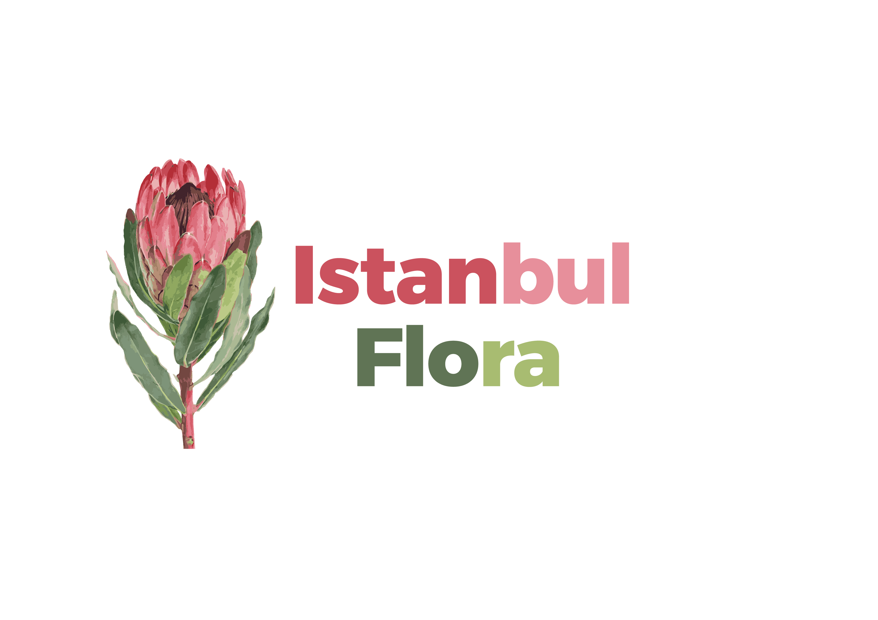 Istanbul Flora