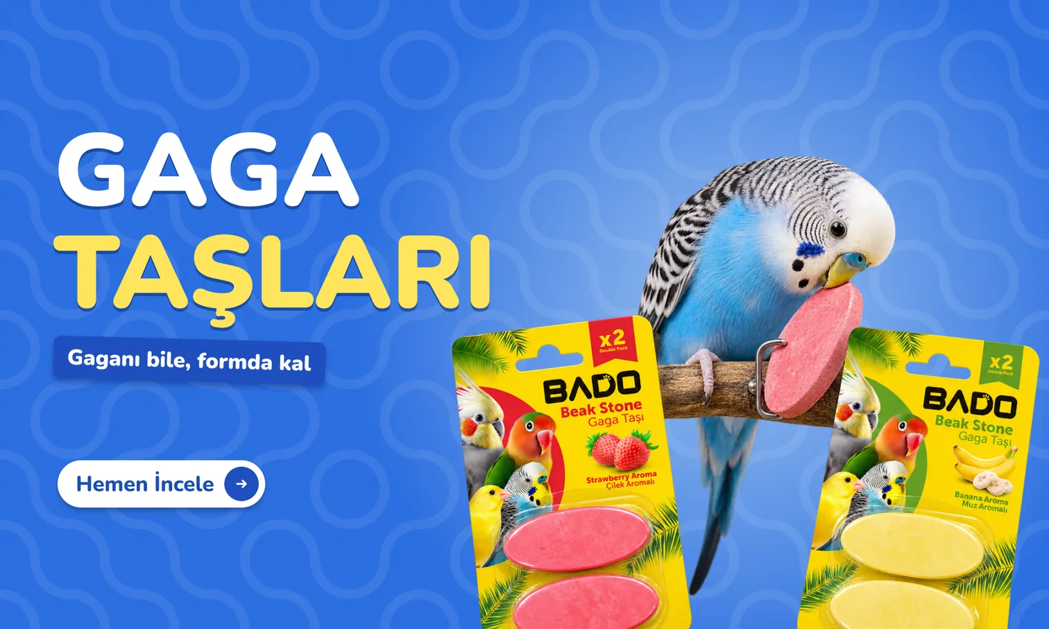 Gaga Taşları