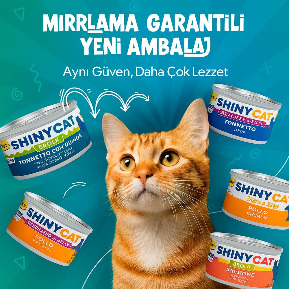 gimcat