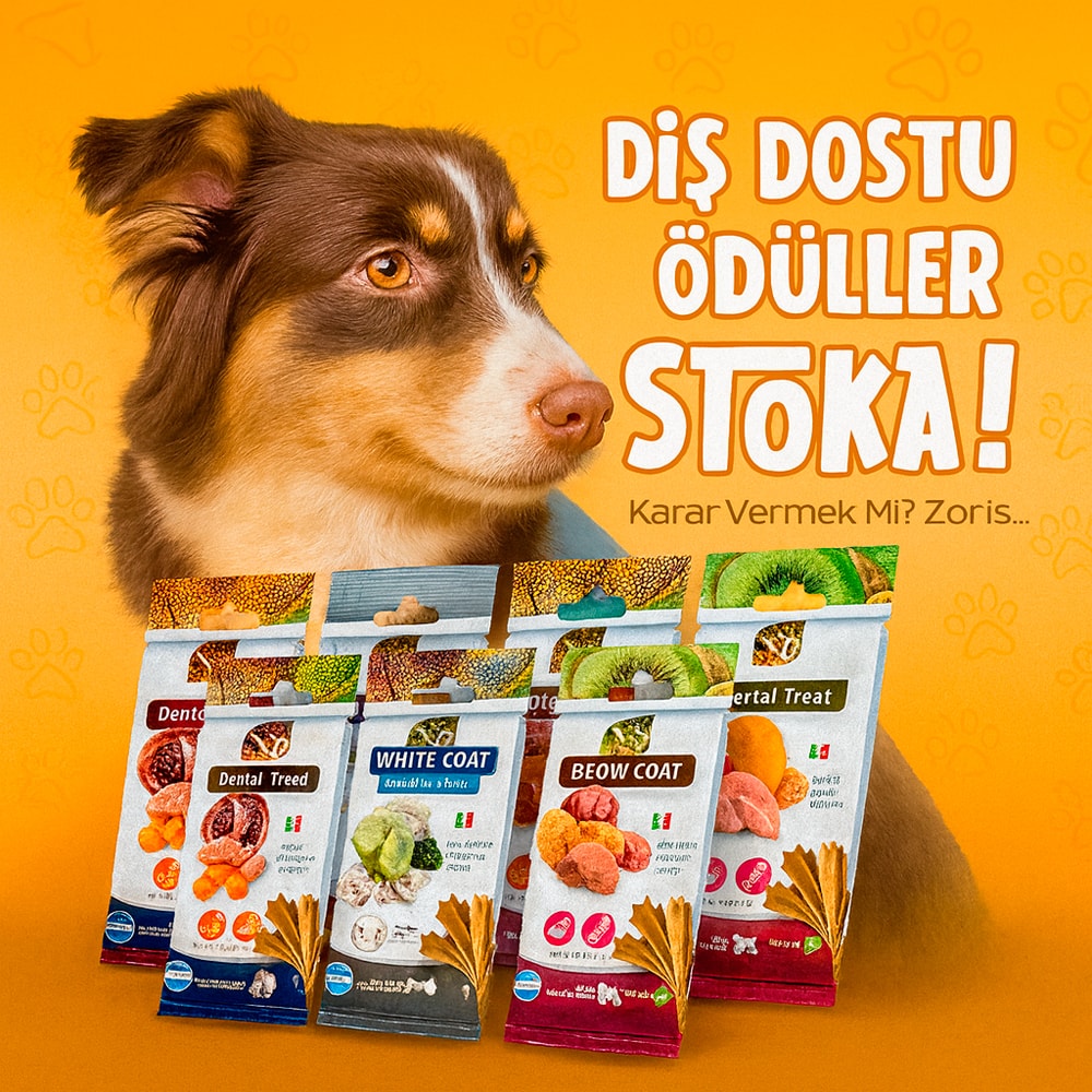 nd köpek ödül kare