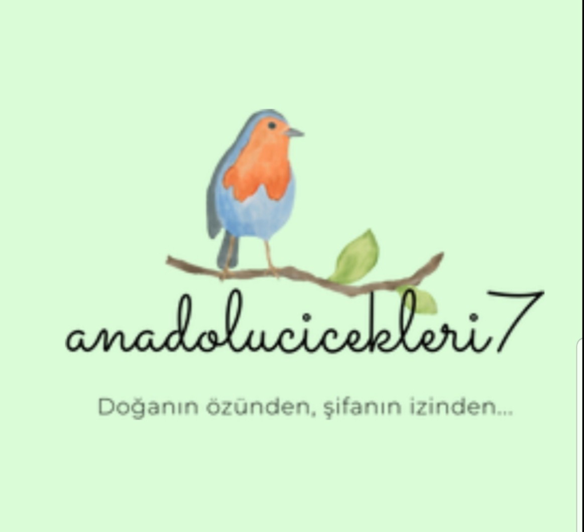 anadolucicekleri7