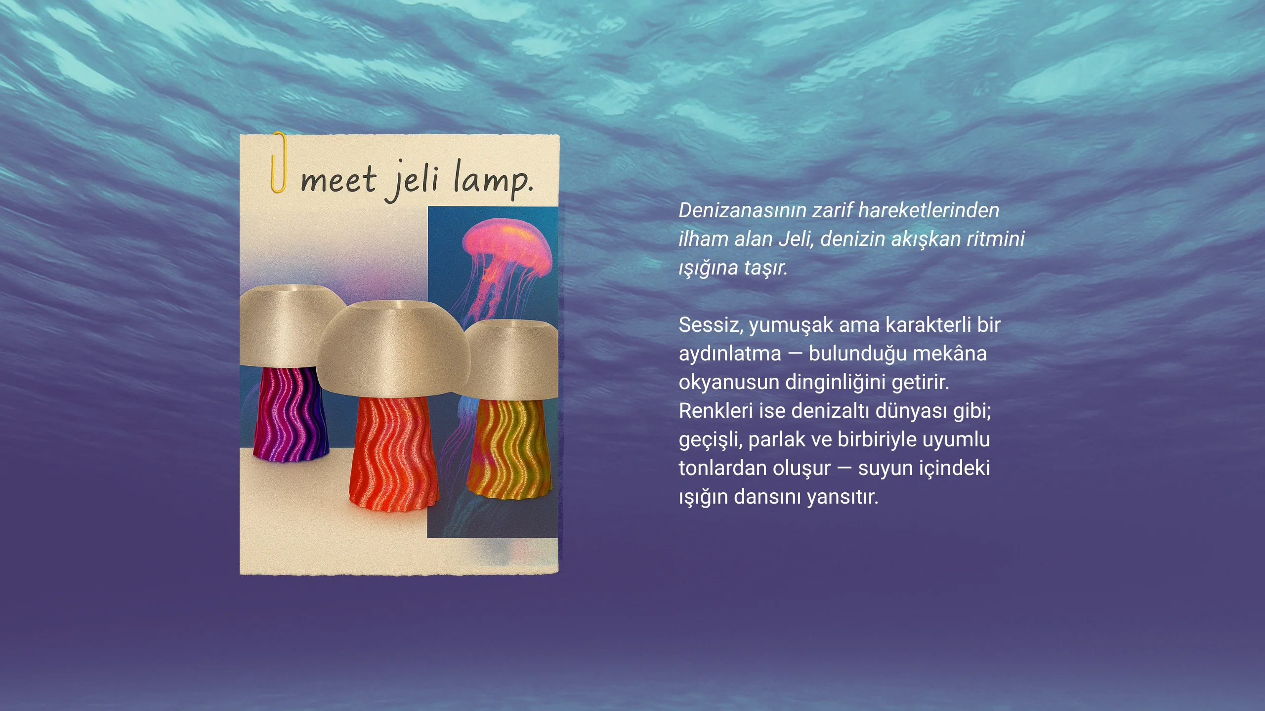 meet jeli lamp