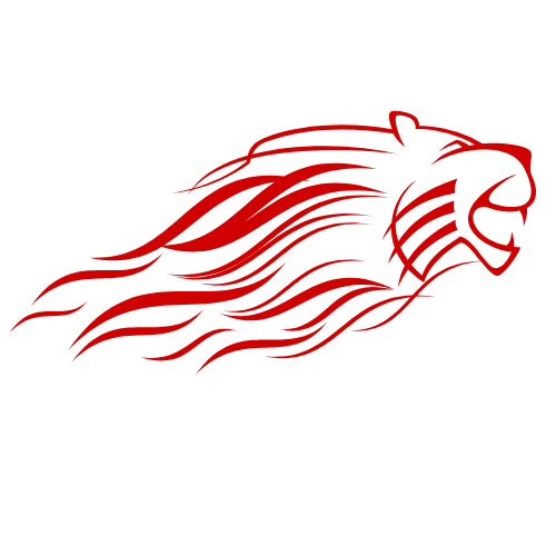 lion3dteknoloji