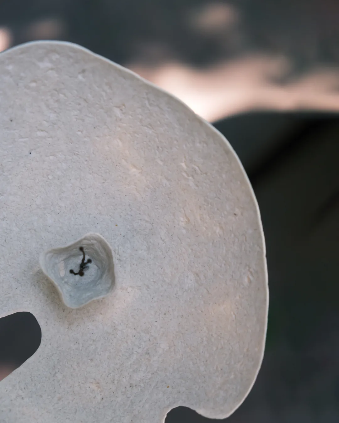 Studio Hamu Instagram paylaşımı: Alabaster upcycled çiçeğin yakın plan detayı, el yapımı malzeme vurgusu.