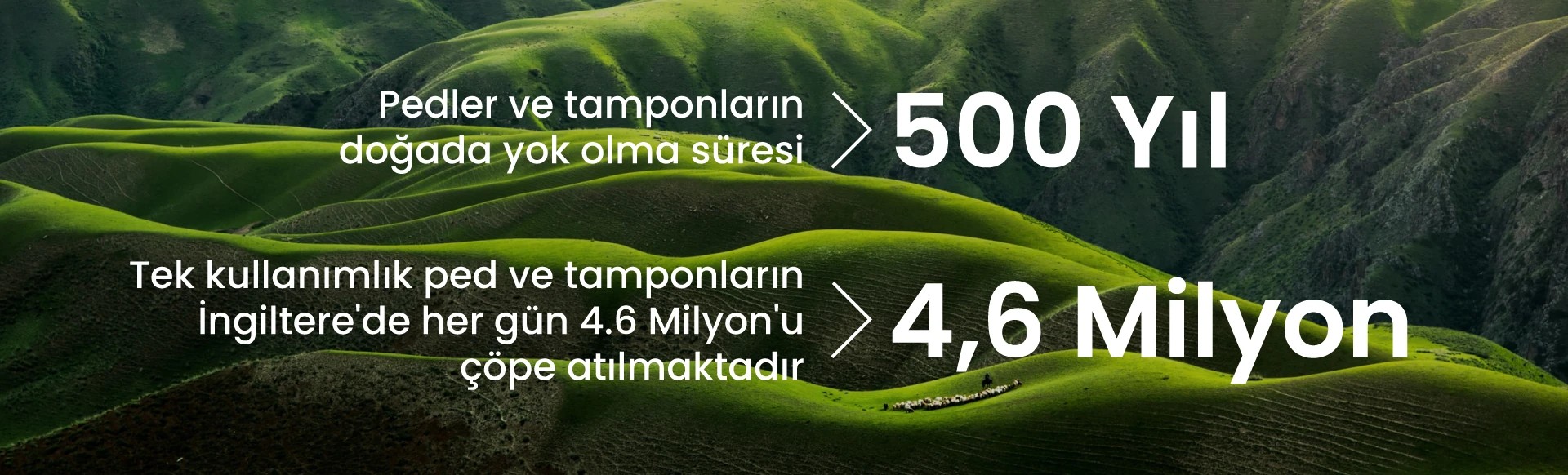 Pedlerin ve Tamponların Doğada Yok Olma Süresi 500 yıl, Sürdürülebilir bir Dünya için JeniCup ve JeniPad ile tanışın