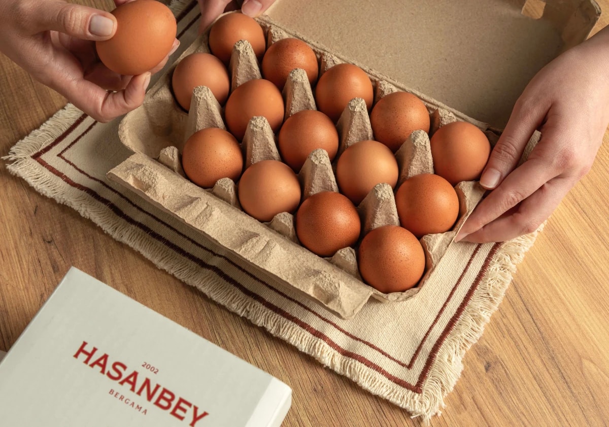 Hasanbey kafessiz köy tavuğu yumurtası