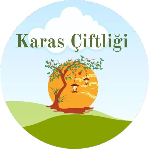 footer-logo