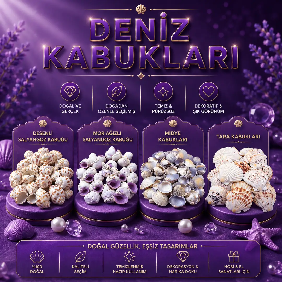 Deniz Kabukları