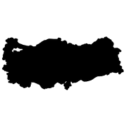 %100 Yerli logo