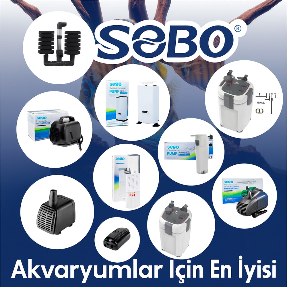 sobo