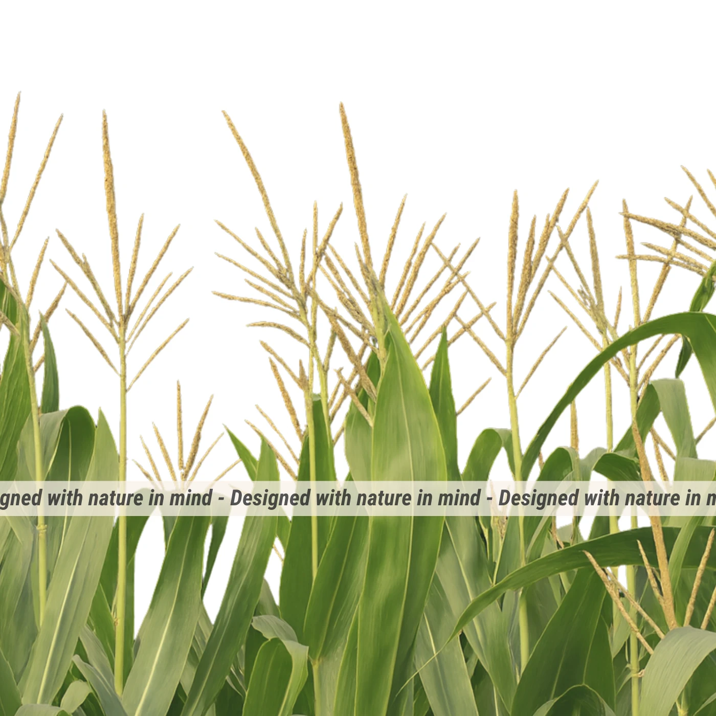 designed in nature in mind