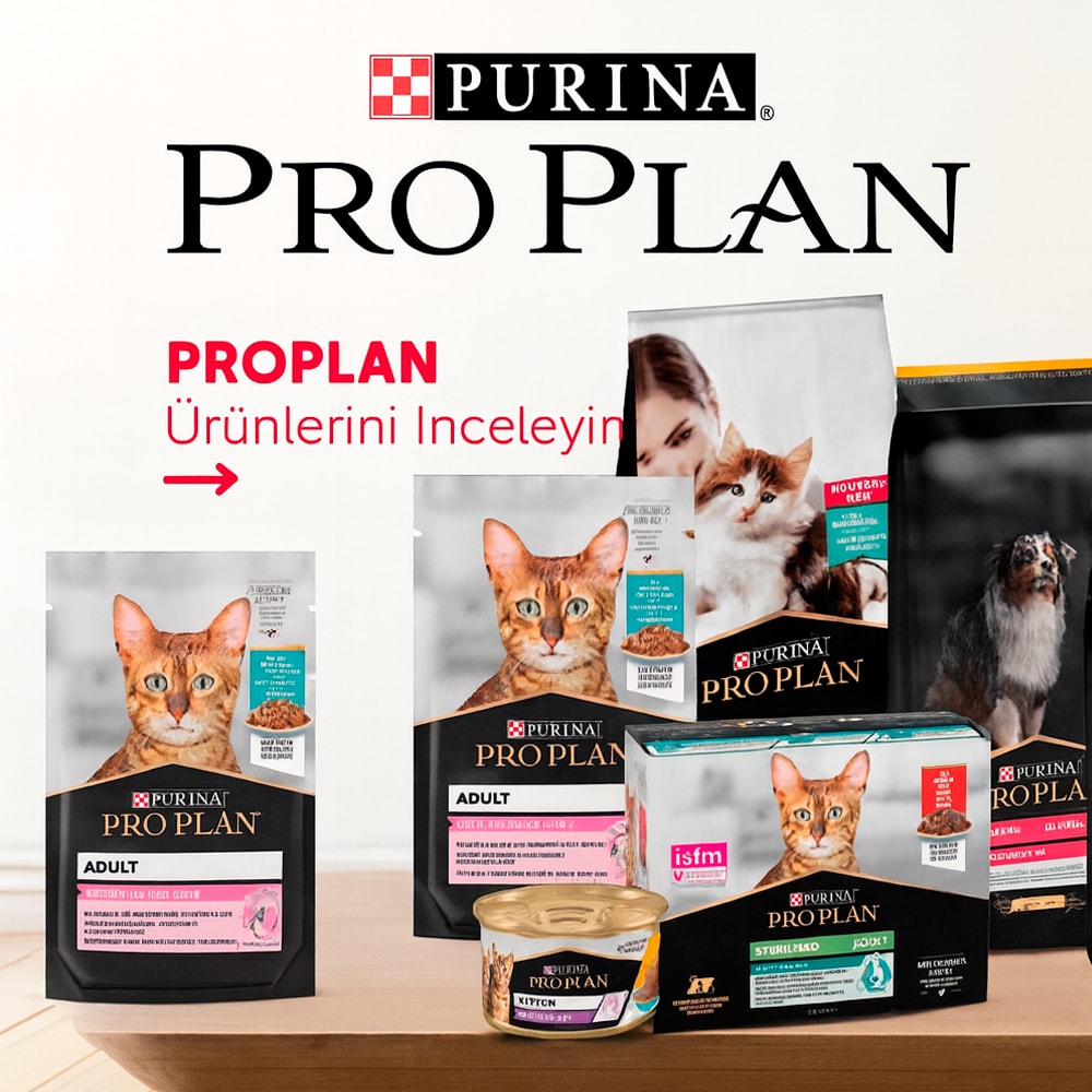 pro plan