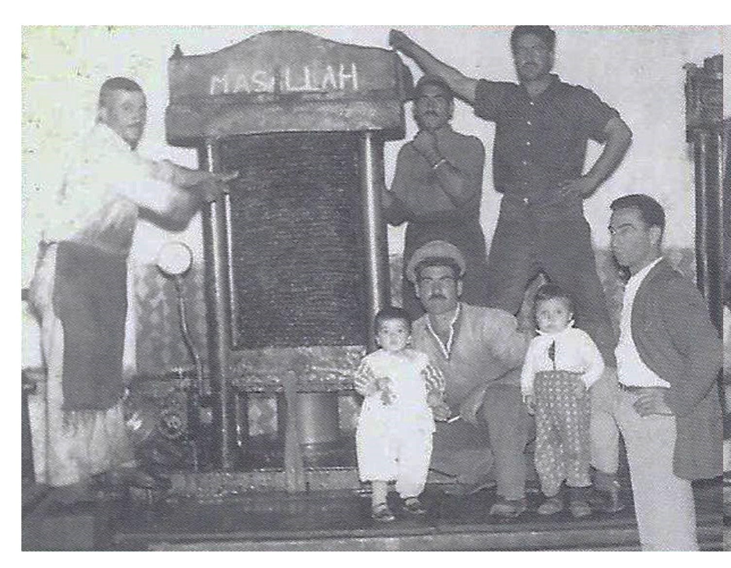 Altay ailesi zeytinyağı üretim arşivi