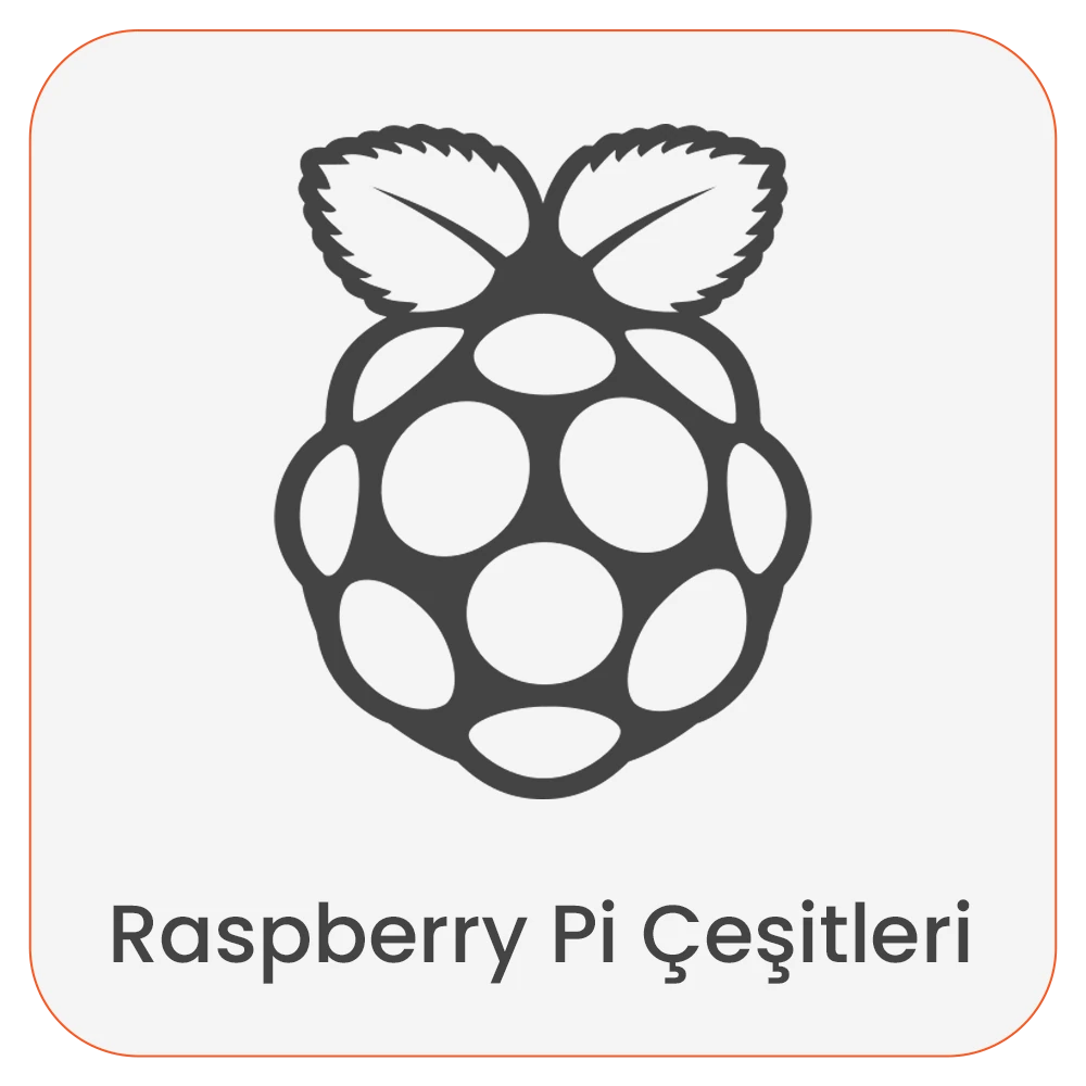 raspberry pi çeşitleri