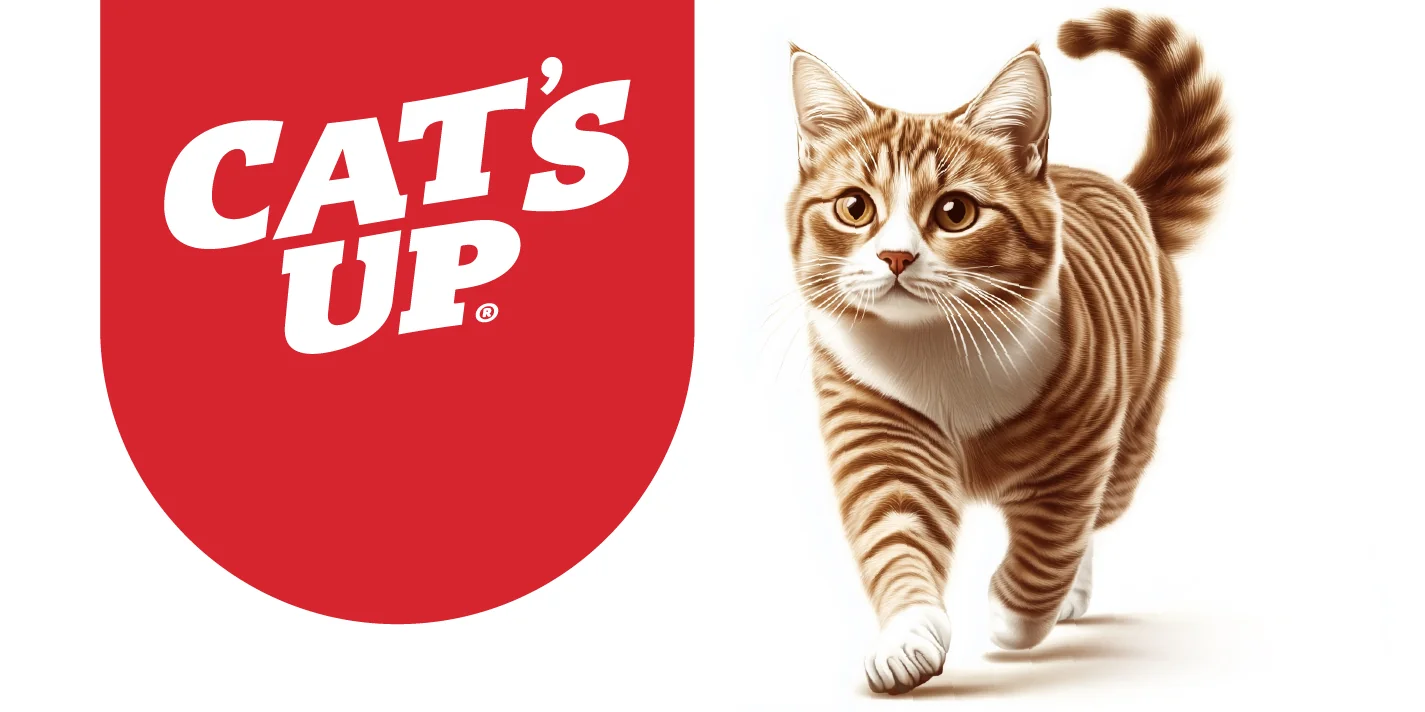 Cat's Up