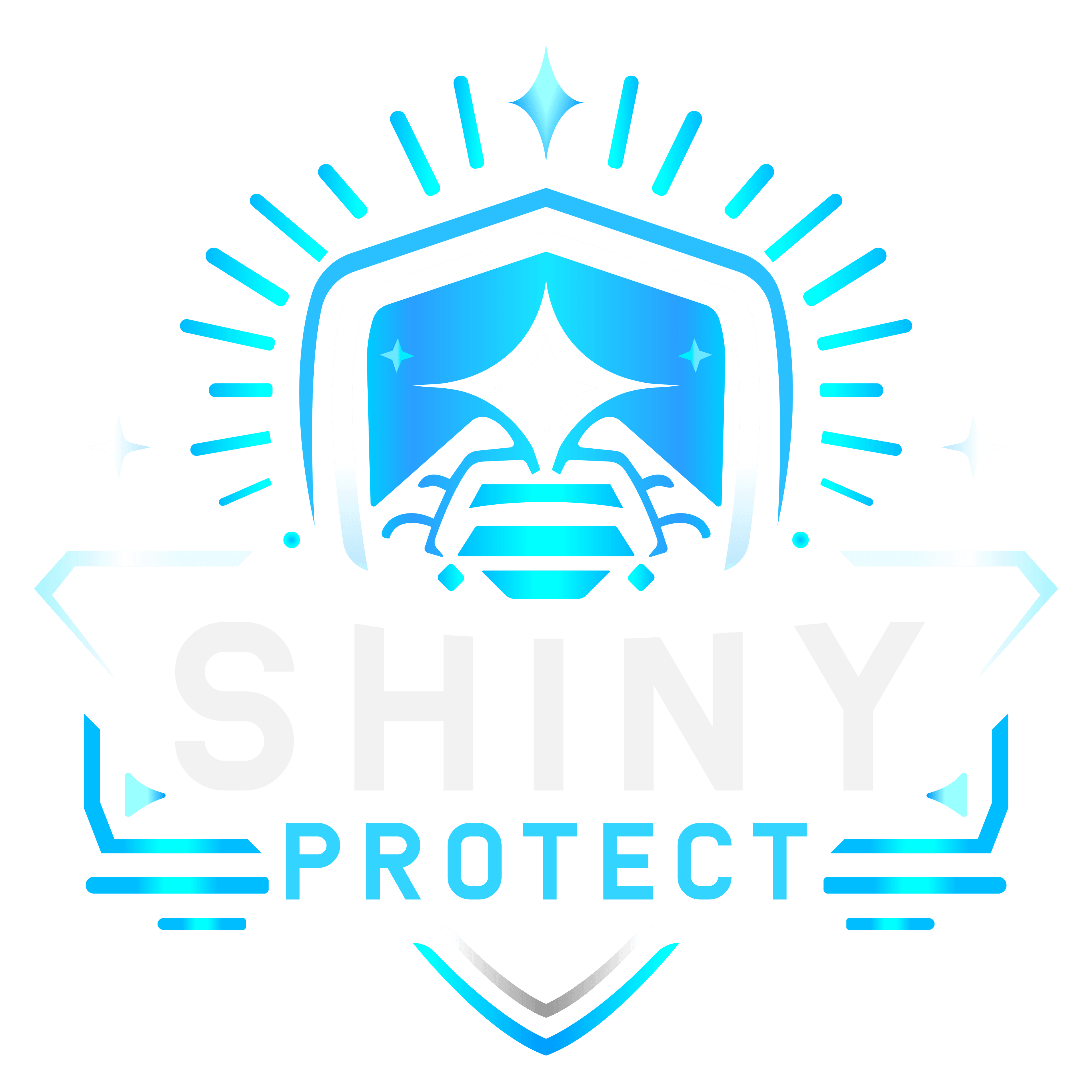 Shiny Protect Oto Bakım & Temizlik Ürünleri