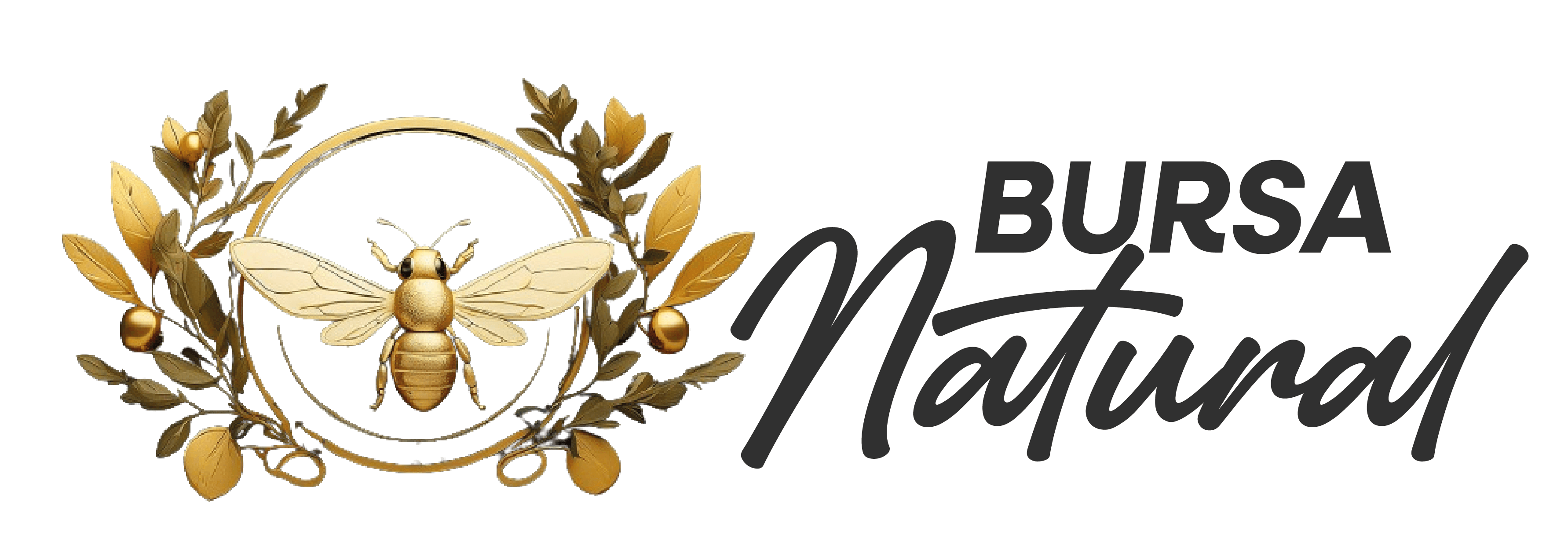 Bursa Natural