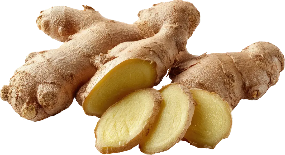 Zencefil