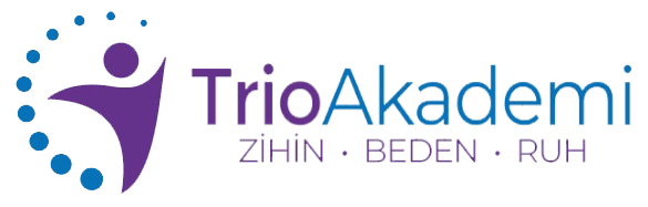 Trio Akademi