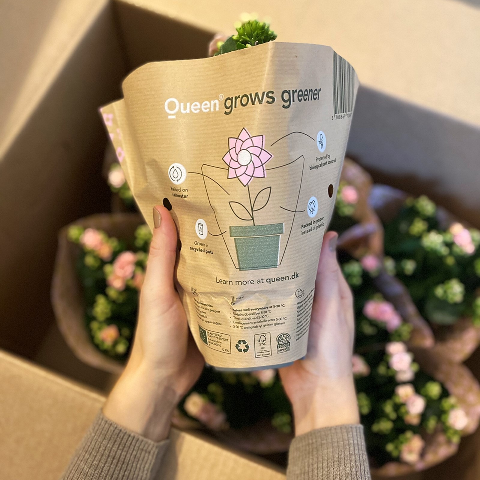 Queen® Flowers ürününüzü doğru şekilde atın