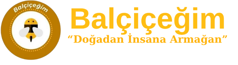balcicegim