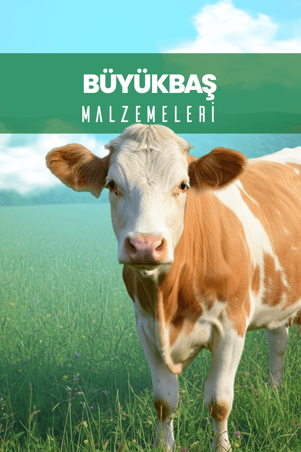 ady-buyukbas-malzemeleri