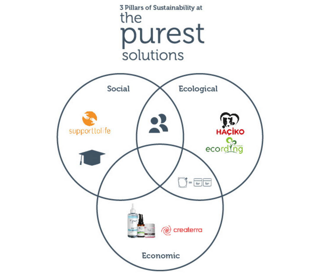 The Purest Solutions Olarak Yürüttüğümüz Projelerimiz