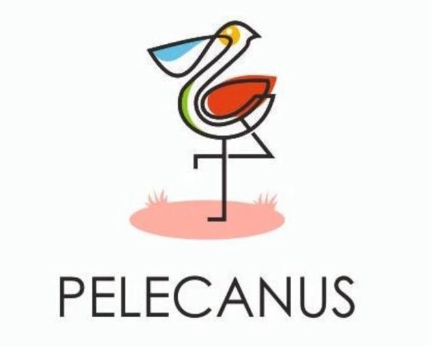 pelecanus