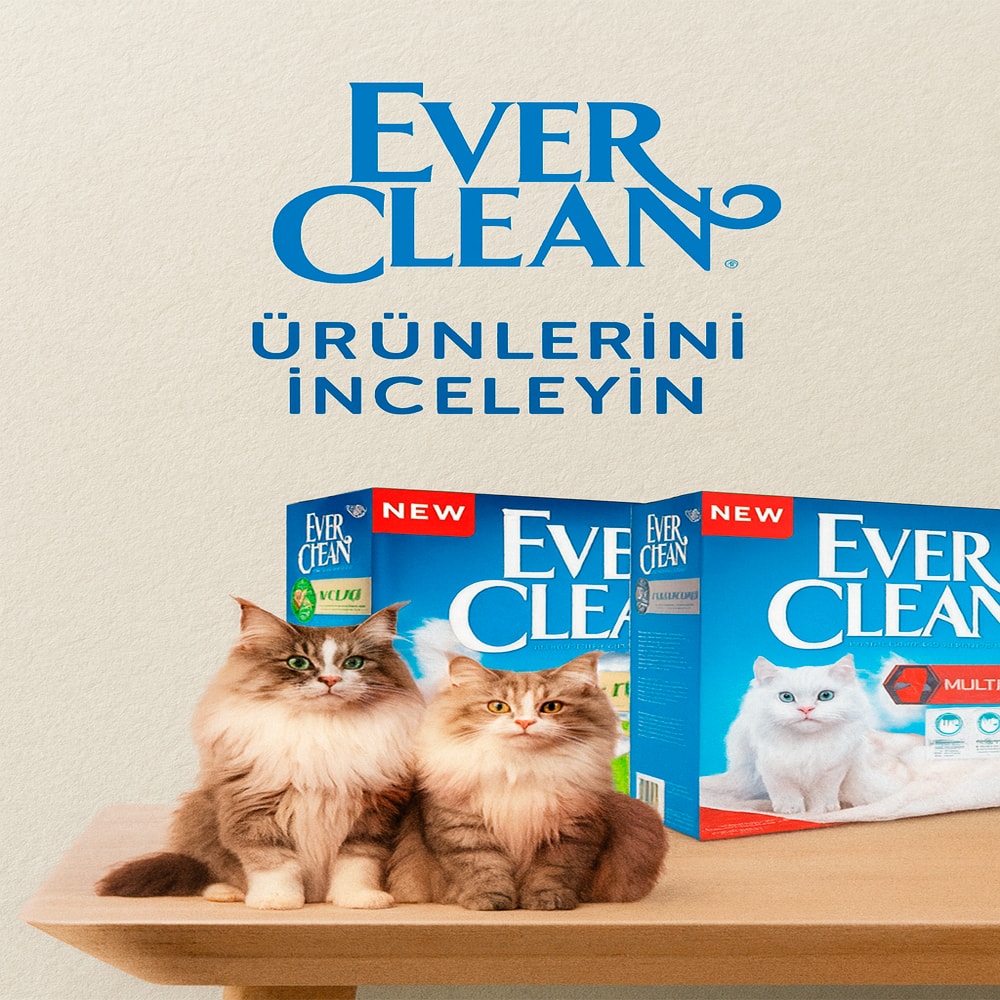 everclean